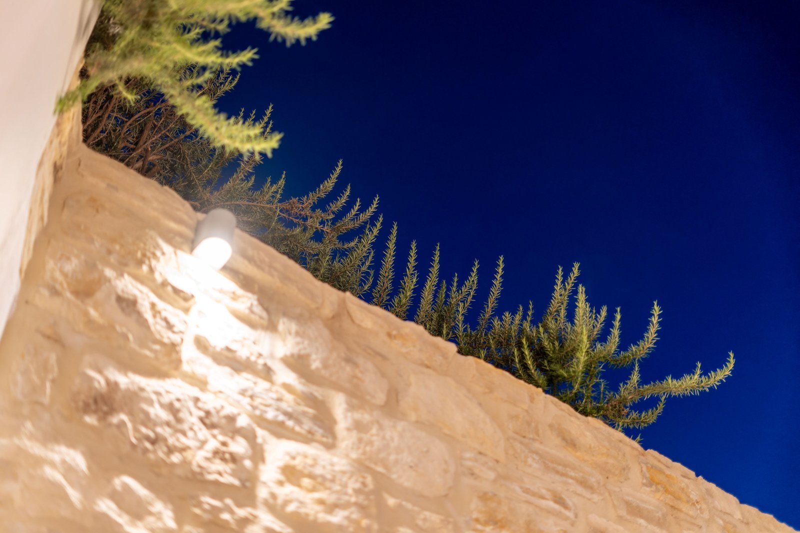 Night view - Photo 16